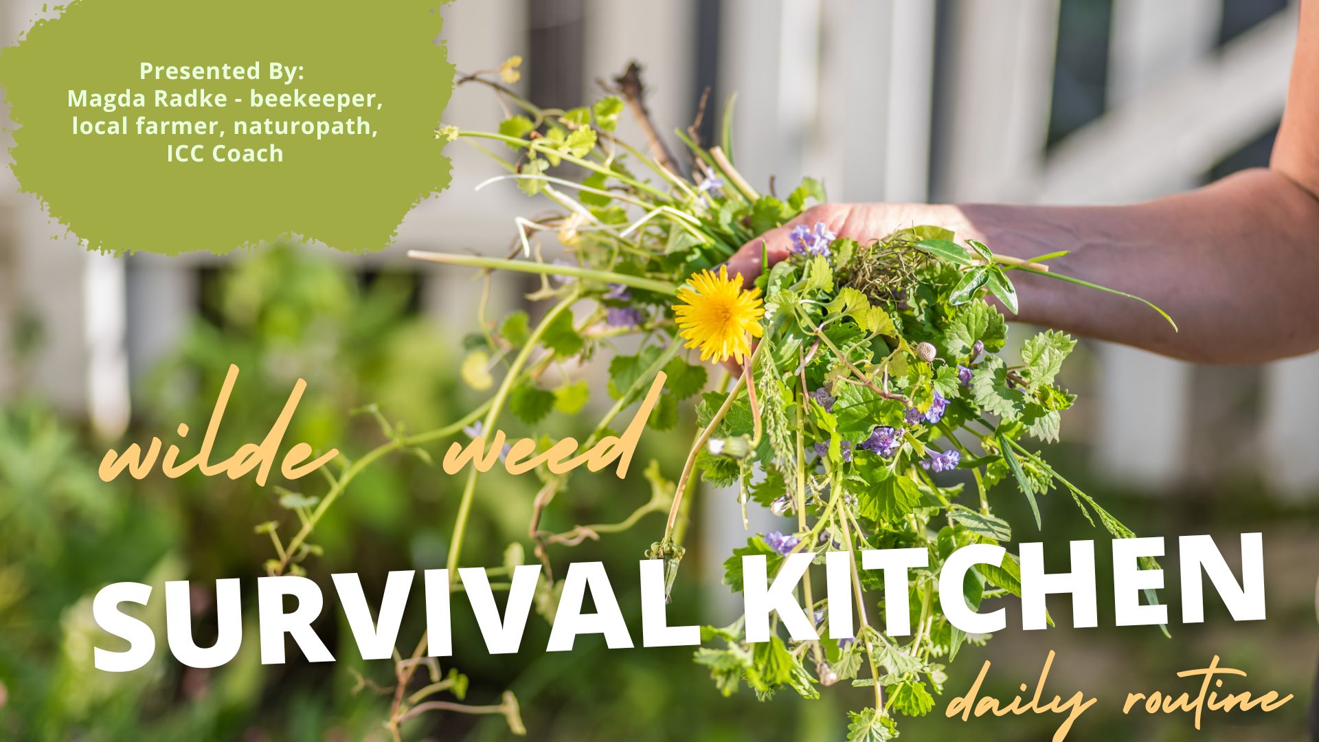 Survival Kitchen – online